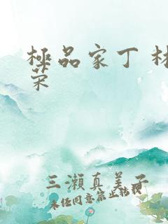 极品家丁 林晚荣