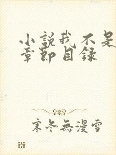 小说我不是戏神章节目录