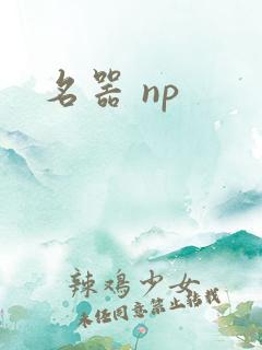名器 np
