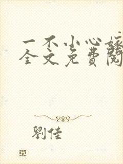一不小心嫁总裁全文免费阅读