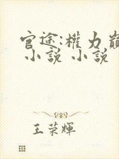 官途:权力巅峰 小说 小说