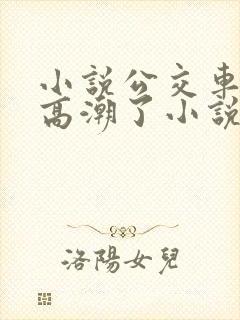 小说公交车被上高潮了小说