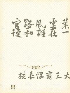 官路风云叶婉最后和谁在一起了