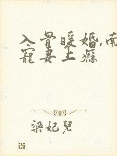 入骨暖婚,南少宠妻上瘾