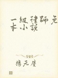 一级律师免费全本小说