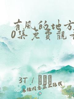 有风的地方第40集免费观看