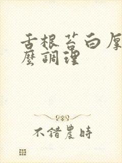 舌根苔白厚腻怎么调理