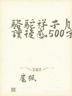 骆驼祥子月牙儿读后感500字