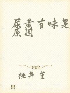 尿黄有味是什么原因
