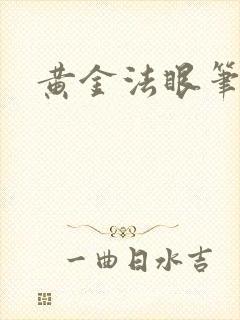 黄金法眼笔趣阁