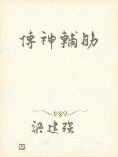 传神辅助