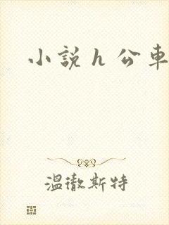 小说 h 公车