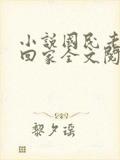 小说国民老公带回家全文阅读