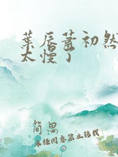 叶辰萧初然更新太慢了