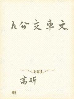 h公交车文