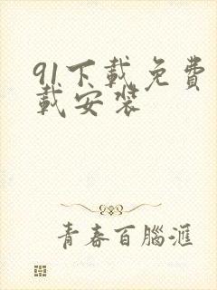 91下载免费下载安装