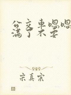 公交车嗯嗯啊啊满了不要