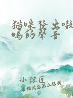 猫咪发出嗷呜嗷呜的声音