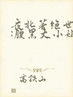 夜北著绝世神医:腹黑大小姐