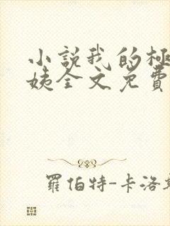 小说我的极品小姨全文免费阅读