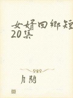 女婿回乡短剧120集