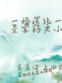 一婚还比一婚高晨雾的光小说