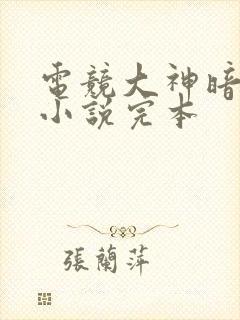 电竞大神暗恋我小说完本