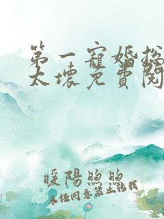 第一宠婚总裁别太坏免费阅读全文