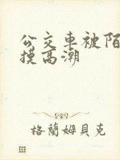 公交车被陌生人摸高潮