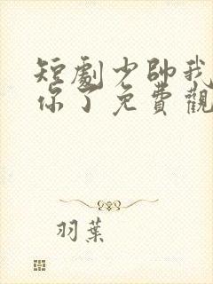 短剧少帅我不要你了免费观看全集