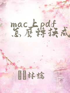 mac上pdf怎么转换成word