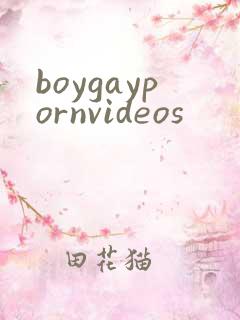 boygaypornvideos