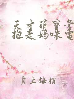 天才萌宝爹地请抱走妈咪电视剧免费观看