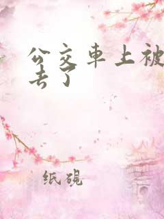 公交车上被插进去了