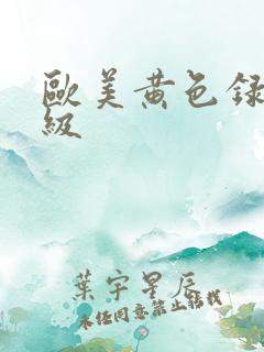 欧美黄色录像一级