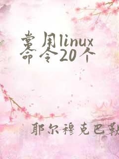 常用linux命令20个