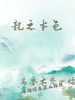 龙之本色