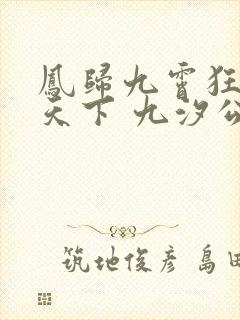 凤归九霄狂妃逆天下 九汐公子