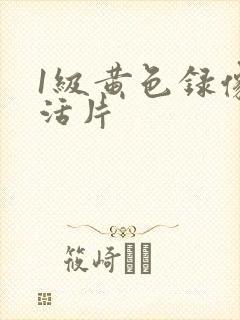 1级黄色录像生活片