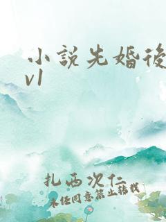 小说先婚后爱1v1