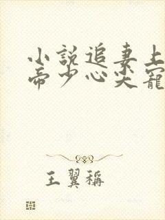 小说追妻上瘾,帝少心尖宠免费看