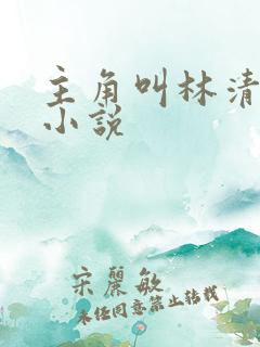主角叫林清雪的小说