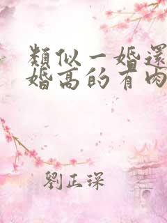 类似一婚还比一婚高的有肉的小说