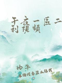 午夜一区二区福利视频