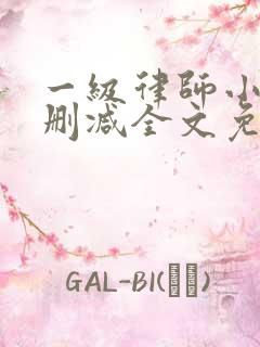 一级律师小说未删减全文免费阅读
