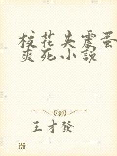 校花夹震蛋上课爽死小说