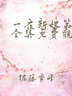 一夜新娘第三季全集免费观看电视剧