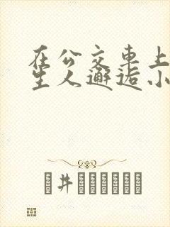 在公交车上被陌生人邂逅小说