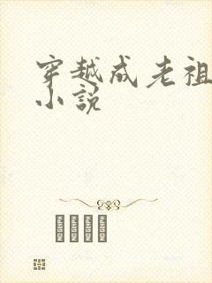 穿越成老祖宗的小说