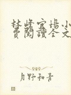 林峰官场小说免费阅读全文最新章节下载